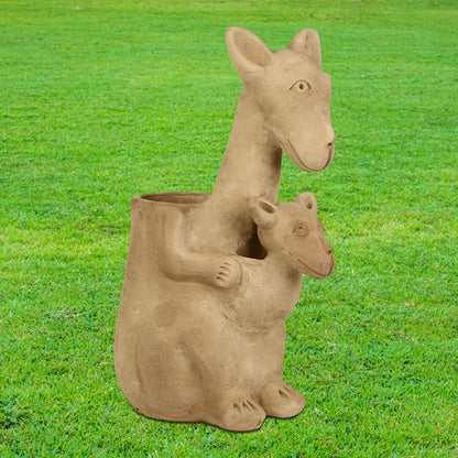 Hoppy Kangaroo